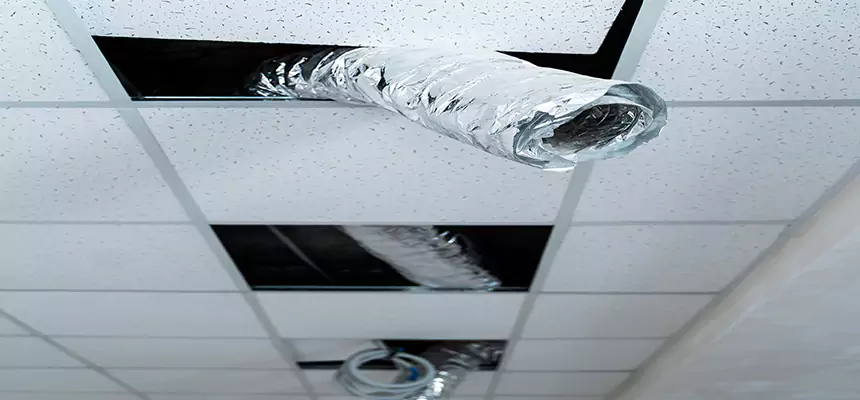 Affordable HVAC Sanitizing After Pest Removal in South El Monte