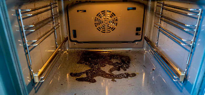 Our Dryer Vent Mold Cleaning Services in South El Monte, CA