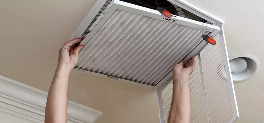 Our Insect Removal from Air Ducts Services in South El Monte, CA
