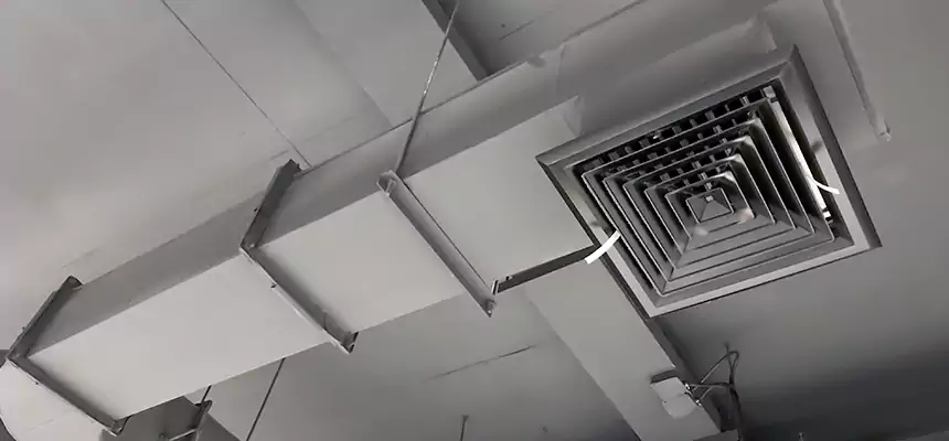 Our Pest Removal From Ducts Services in South El Monte, CA