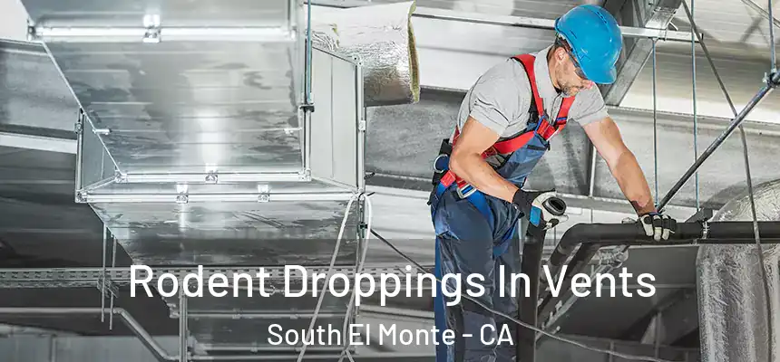  Rodent Droppings In Vents South El Monte - CA