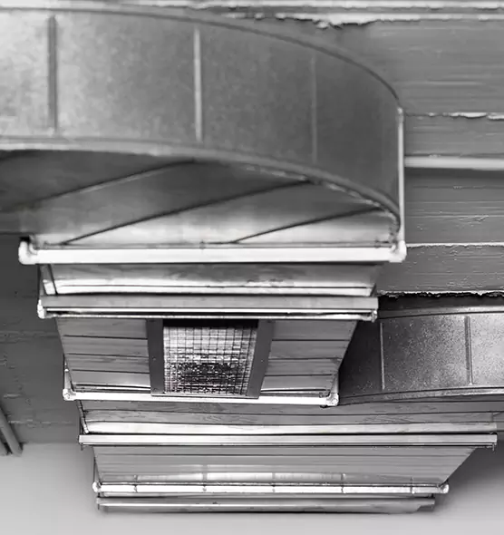 Professional Air Duct Pest Removal in South El Monte, CA