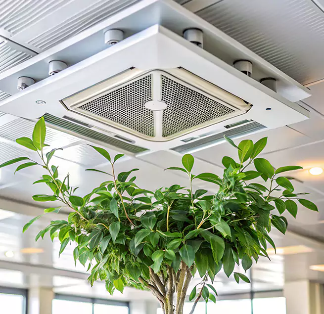 Why Homeowners & Businesses Trust Us in South El Monte, CA?