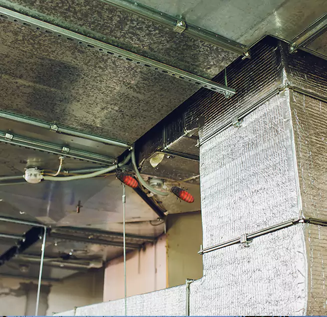 Why Homeowners & Businesses Trust Us South El Monte, CA?